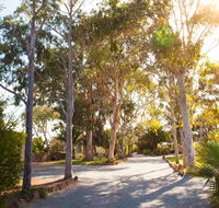 Modra's Apartments