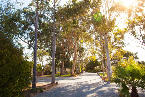 Modra\'s Apartments - Accommodation Bookings 0
