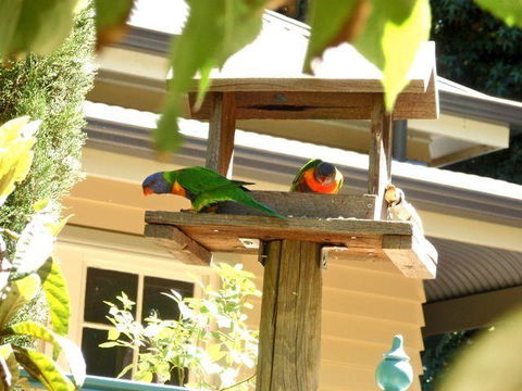 Aldgate Valley Bed And Breakfast - Accommodation Bookings 42