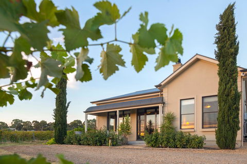 Barossa Shiraz Estate - Accommodation Bookings 2