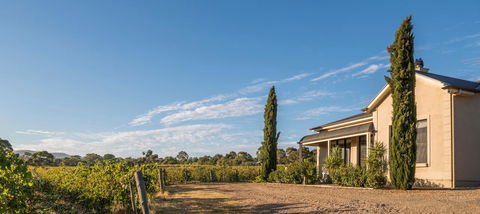 Barossa Shiraz Estate - Accommodation Bookings 13