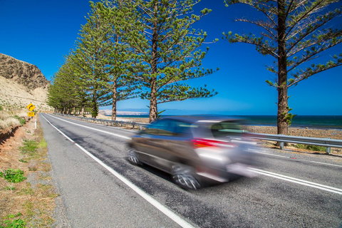 Lady Bay Hotel - Accommodation Bookings 26