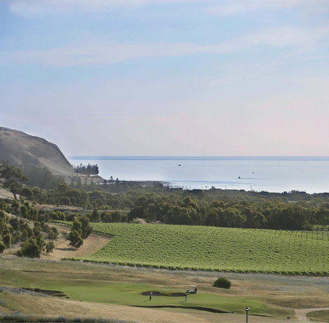 Lady Bay Hotel - Accommodation Bookings 19