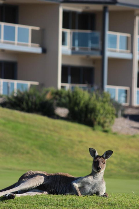 Lady Bay Hotel - Accommodation Bookings 16