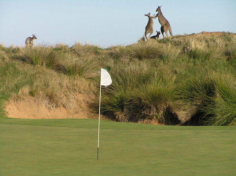 Lady Bay Hotel - Accommodation Bookings 17