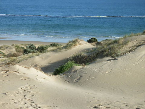 McCloud House - Accommodation Bookings 10