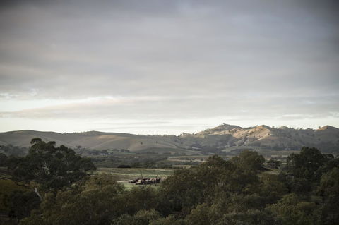 Novotel Barossa Valley Resort - Accommodation Bookings 23