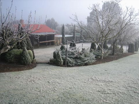 Vineyard Cottage BnB - Accommodation Bookings 15
