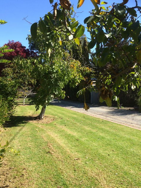 Vineyard Cottage BnB - Accommodation Bookings 17