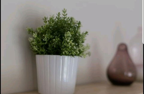 Belford Luxury * New * Clean * Cafes * Near CBD - Accommodation Bookings 13