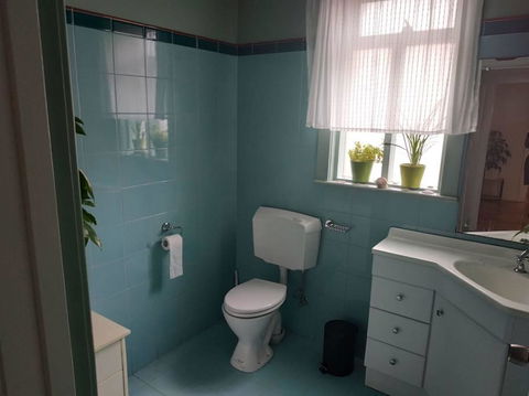 Diamond On Olive - Accommodation Bookings 1