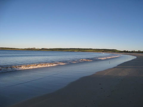 Pelicans Rest Shellharbour - Accommodation Bookings 17