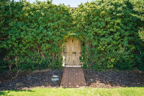 Mick O\'Sheas - Accommodation Bookings 32