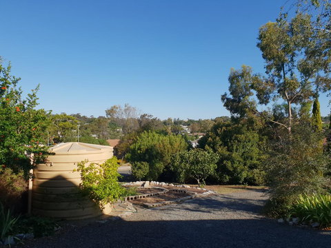 Barossa Valley Studio - Accommodation Bookings 24