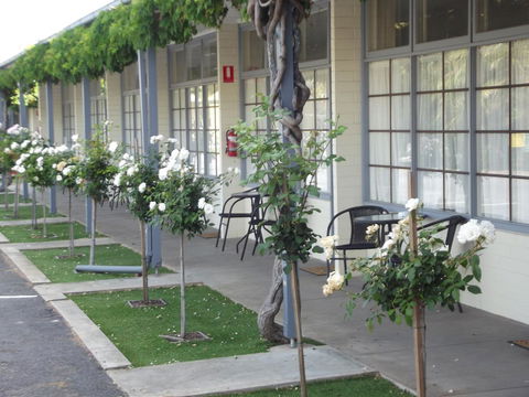 Guichen Bay Motel - Accommodation Bookings 38