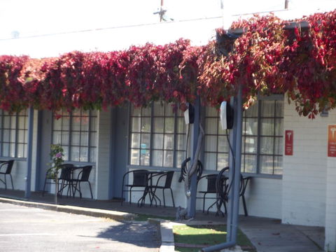 Guichen Bay Motel - Accommodation Bookings 23