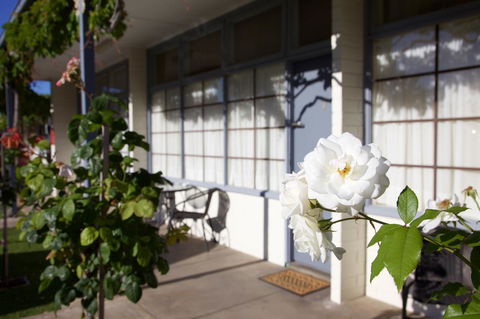 Guichen Bay Motel - Accommodation Bookings 33