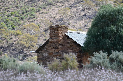 Burra Motor Inn - Accommodation Bookings 36