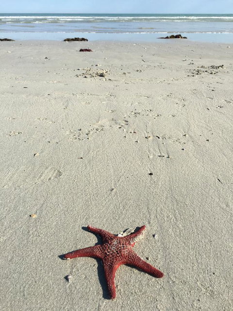 Caledonian Inn - Accommodation Bookings 14