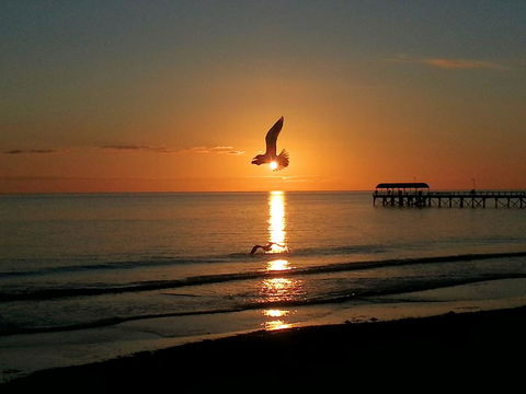 Adelaide Luxury Beach House - Accommodation Bookings 37