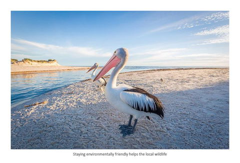 Adelaide Luxury Beach House - Accommodation Bookings 25