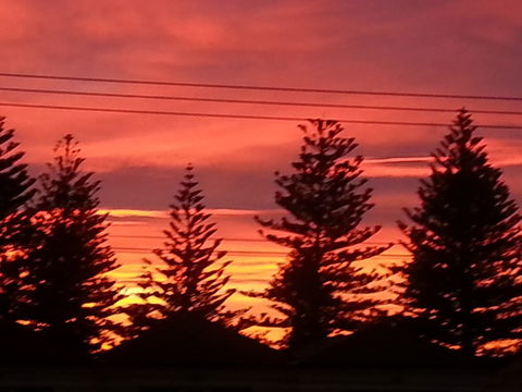 Adelaide Luxury Beach House - Accommodation Bookings 36