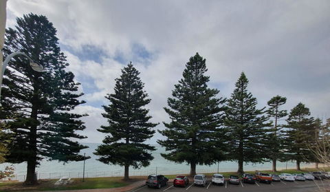 Pier Hotel Port Lincoln - Accommodation Bookings 12