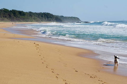 Culburra Beachhouse - Accommodation Bookings 7