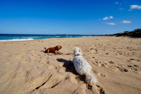 Culburra Beachhouse - Accommodation Bookings 8
