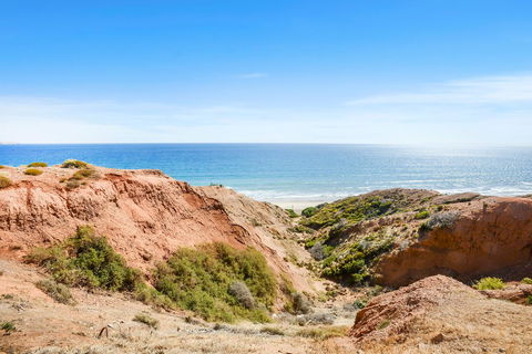 Salomon Sea Haus - Sellicks Beach - C21 SouthCoast Holidays - Accommodation Bookings 1