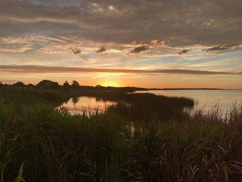 Lake Albert Motel - Accommodation Bookings 0