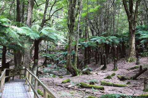 Wallace Lodge - PID-STRA-16871 - Accommodation Bookings 11