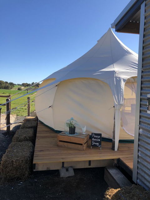 Bukirk Glamping & Fancy Coops - Accommodation Bookings 11