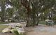 Kangaroo Island Holiday Village - thumb 0