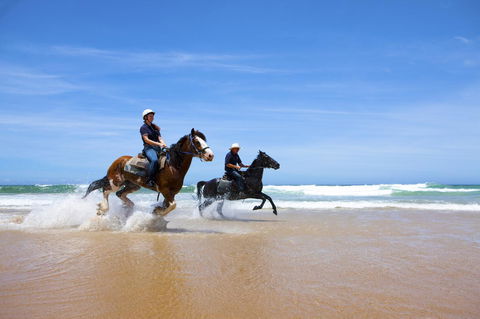One Mile Retreat - Accommodation Bookings 26