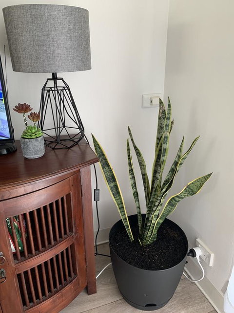 Sunshine Four - Accommodation Bookings 2