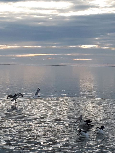 Meningie Waterfront Motel - Accommodation Bookings 24