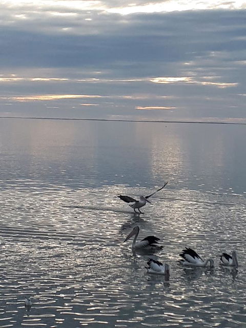 Meningie Waterfront Motel - Accommodation Bookings 25