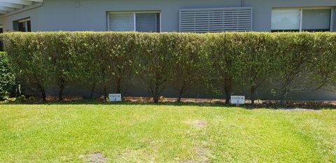 2 Austinmer Studio - Accommodation Bookings 12