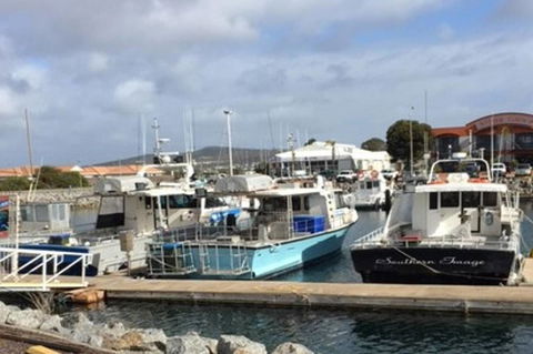 Port Lincoln Shark Apartment 2 - Accommodation Bookings 17