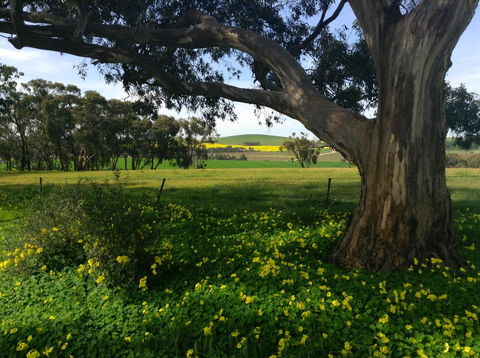 Clare Valley Cabins - Accommodation Bookings 21