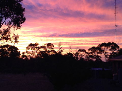Clare Valley Cabins - Accommodation Bookings 8