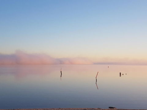 Barmera Lake Resort Motel - Accommodation Bookings 3