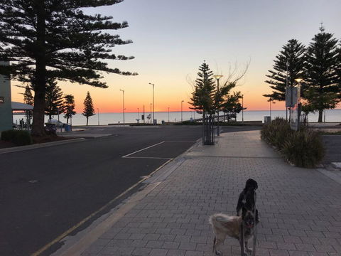 BIG4 Ceduna Tourist Park - Accommodation Bookings 34