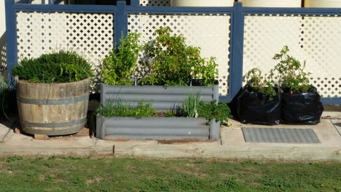 BIG4 Ceduna Tourist Park - Accommodation Bookings 30