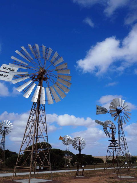 BIG4 Ceduna Tourist Park - Accommodation Bookings 33