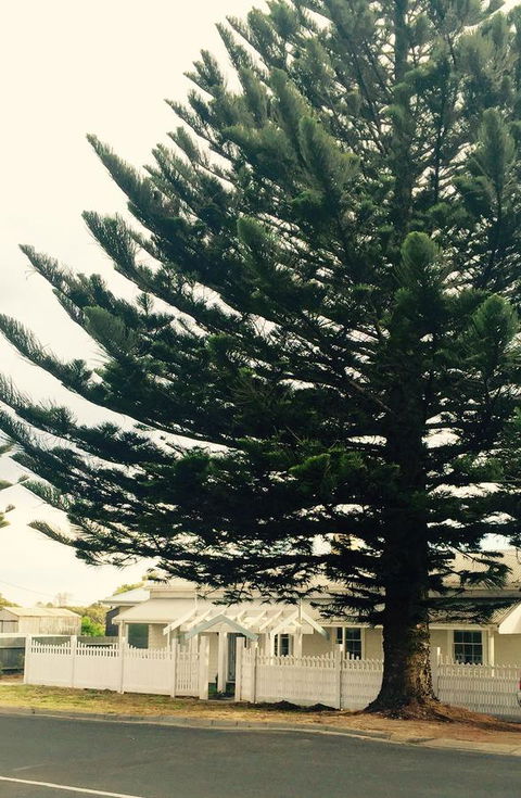 Railway Cottage In Beachport - Accommodation Bookings 13