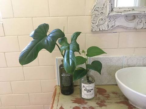 Yallaroo Cottage - Accommodation Bookings 13