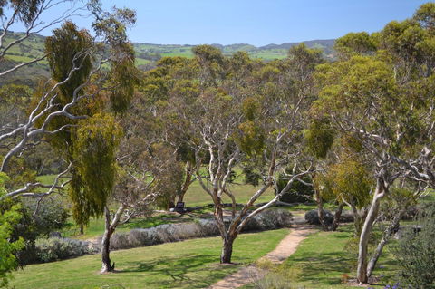 Shiraz Cottage - Accommodation Bookings 9