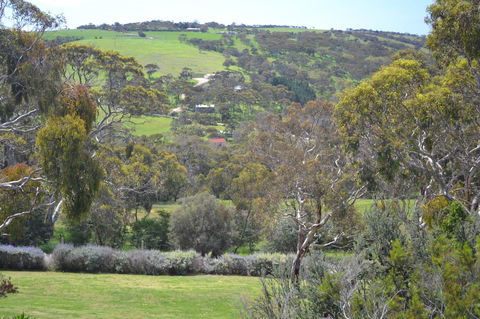Shiraz Cottage - Accommodation Bookings 8